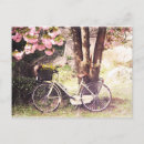 Recherche de sakura cartes postales Rétro