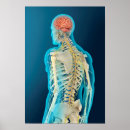 Search for 3d pictures posters Yellow