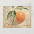 Search for shabby french chic postcards Green