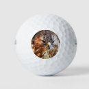 Search for bird golf balls Nature