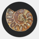 Search for spiral shell stickers Snail