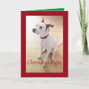 Search for beautiful christmas cards Cute