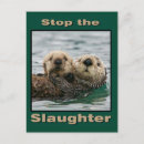 Recherche de loutre cartes postales Faune