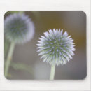 Search for thistle mousepads Photography