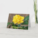 Search for big flower cards Rose