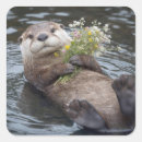 Recherche de loutre autocollants Faune