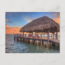 Search for ocean sunrise postcards Seashell