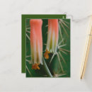Search for alo postcards Flower