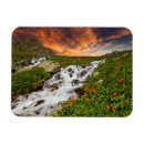 Recherche de fleurs de montagne magnets Floral