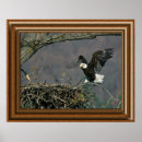 Recherche de mis en danger posters Nature