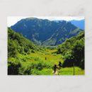 Search for hippie postcards Photography