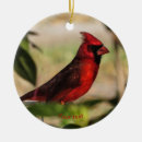 Search for red cardinal bird ornaments Cardinals