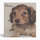 Search for pet records binders Puppy