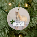 Search for white horse ornaments Nature
