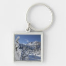 Search for alpine keychains White