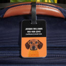 Recherche de dachshund luggage tags Chien
