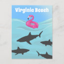 Recherche de humour requin cartes postales Océan