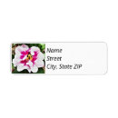 Search for pink tulip return address labels Plants