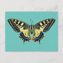 Recherche de papillon jaune et noir cartes postales Insecte