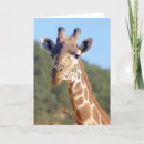 Search for african animal christmas cards Wildlife