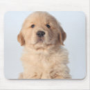 Search for weeks mousepads Dog