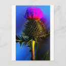 Recherche de chardons cartes postales Violet