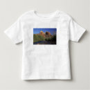 Recherche de cathédrale tshirts Sedona
