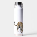 Search for animal water bottles Leopard