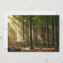 Recherche de tronc vœux cartes Forêt