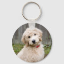 Search for goldendoodle keychains Animal
