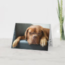Search for dog napping cards Sleeping
