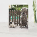 Search for leash cards Animal