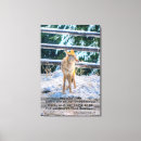 Recherche de femelles art Animaux