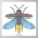 Search for firefly art Bug