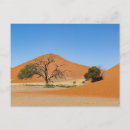 Recherche de namibie cartes postales Sable