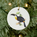 Recherche de toucan ornements Faune