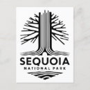 Search for sequoia national park postcards California vacation