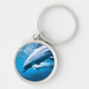 Search for diving dolphin accessories Underwater