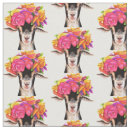 Search for goat fabric Colourful