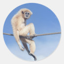 Search for gibbon stickers Monkey