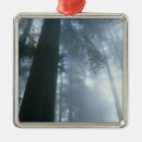 Search for usa ornaments California