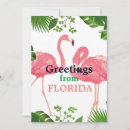Search for tropical design cards Pink flamingo