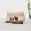 Search for mustang cards Wyoming