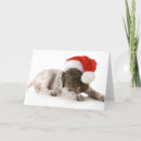 Search for german shorthaired pointer christmas cards Animal