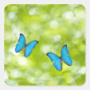 Search for flying insect stickers Wildlife