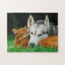 Recherche de friends puzzles Amitié