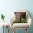 Recherche de vache laitière coussins Bétail