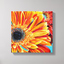 Recherche de pétales art Fleurs