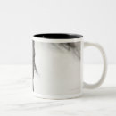 Recherche de oeil de cheval tasses Vertical
