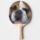 Recherche de royaume raquettes ping pong Europe